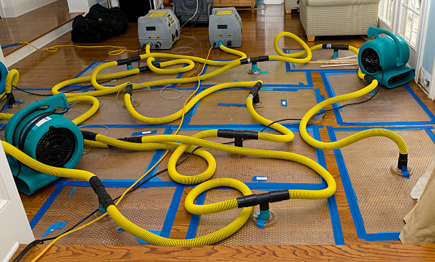 Professional Water Damage Repair technician working in Buxton, ME
